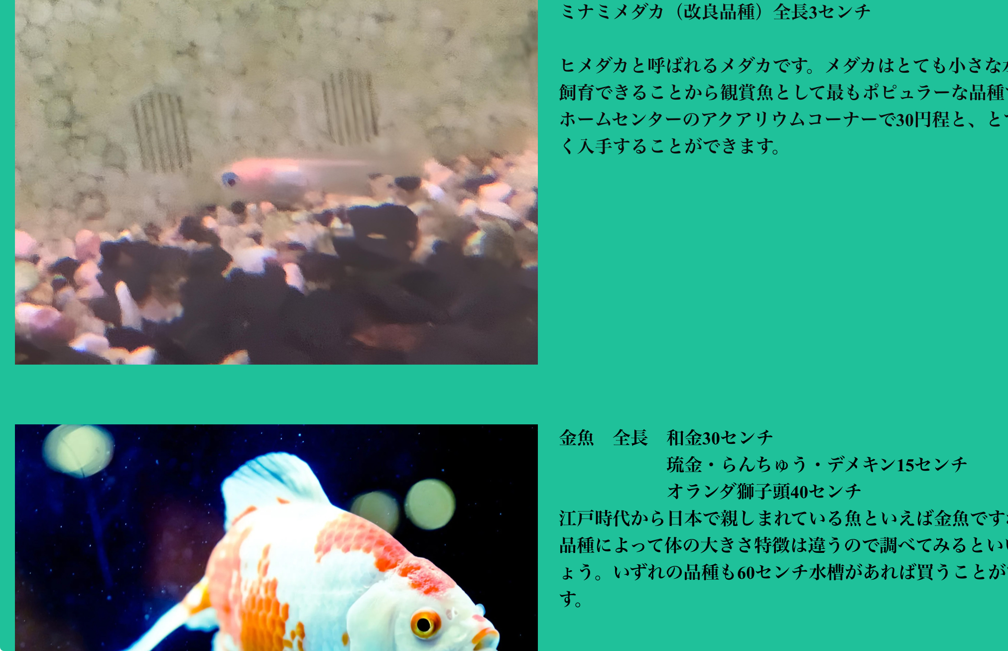こんな感じです。